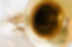 Trumpet Rental