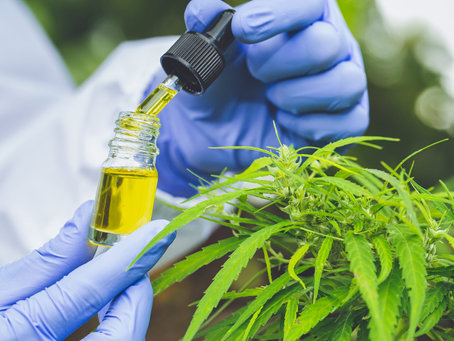 The Ultimate Guide For Buying High Quality CBD Oil: Tips and Tricks
