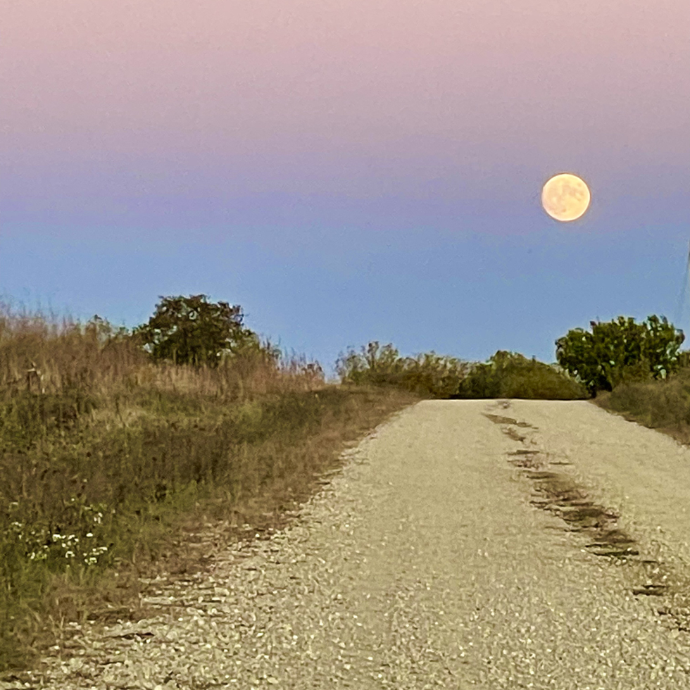 The Path Less Traveled Keeps Calling Me Home