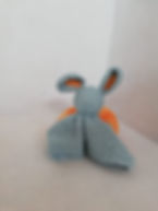 Unknown-3.jpeg