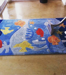 Rug cleaning in Table View, Cape Town
