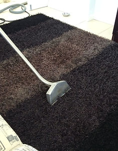 Rug steam cleaning in Cape Town