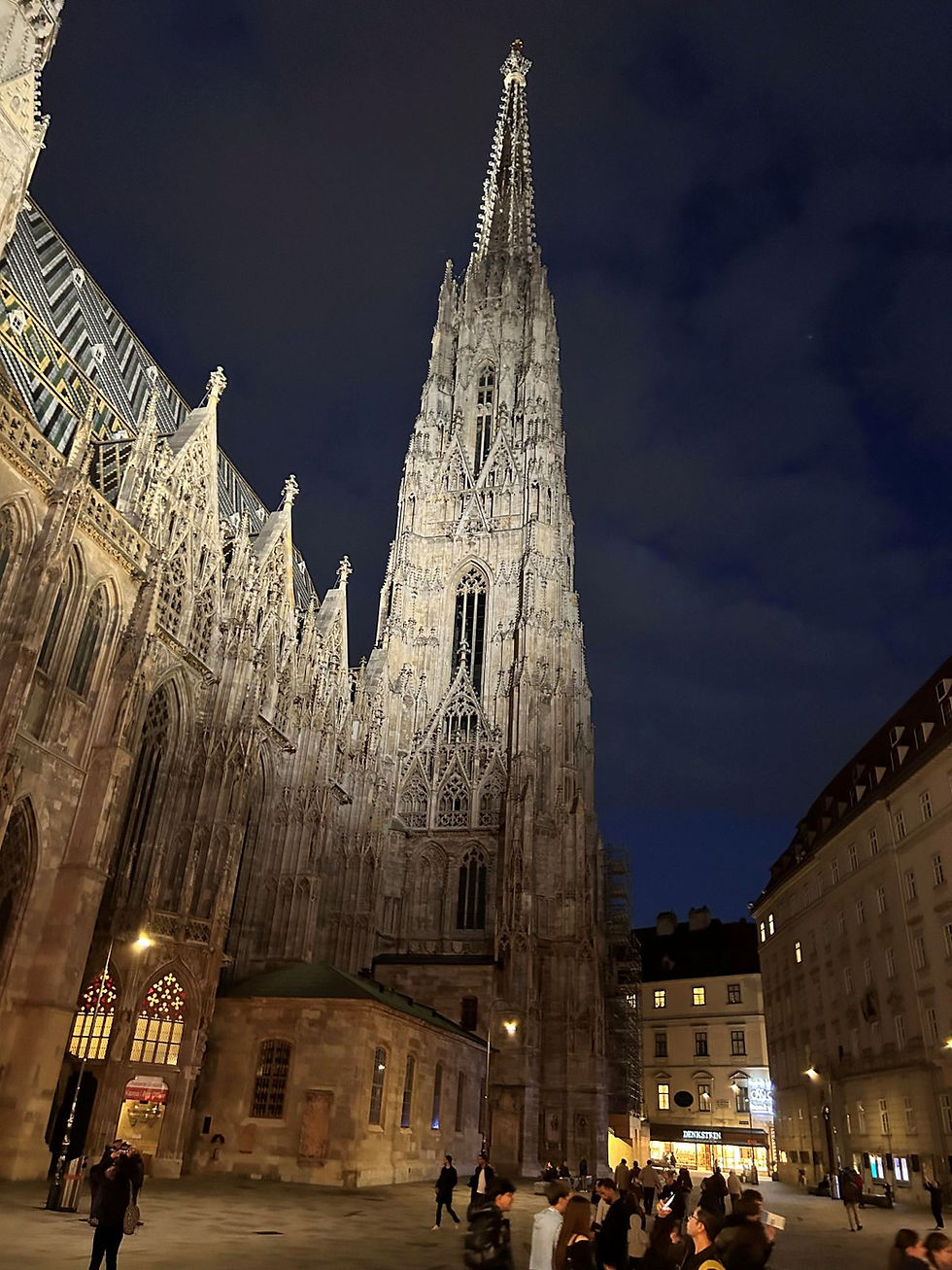 St. Stephen's Cathedral in central Vienna.