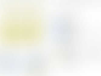 Spirit Airlines - No Frills Airline