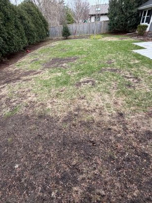 Why Checking Soil pH is Essential to Achieving a Lush, Green Lawn