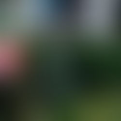 Walking in Libertyville (Illinois) during a Pandemic - Part III (Final Walking Version)