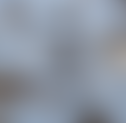 Walking on a Florida Beach During a Pandemic - Part III (Final Version)