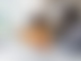 What Transferable Skills Are Employers Really Looking For?