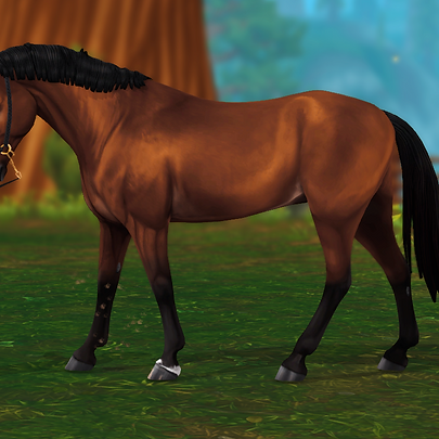 horse-4100412_1280.png