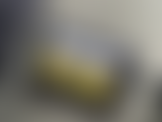 Safari experience full magical