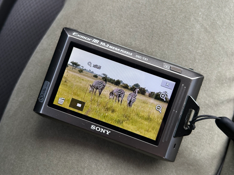 Safari experience full magical