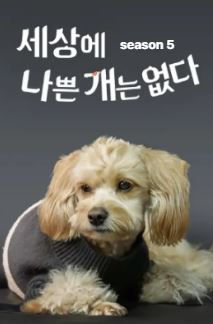 세상에 나쁜 개는 없다 정보 및 줄거리 | 티비위키 반려견 예능 추천