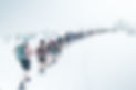 WHM_Winter_Expedition-873_edited.jpg