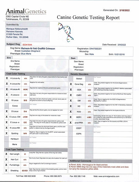 Yeti canine genetic testing