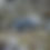 Thumbnail: EXTREME OVERALL