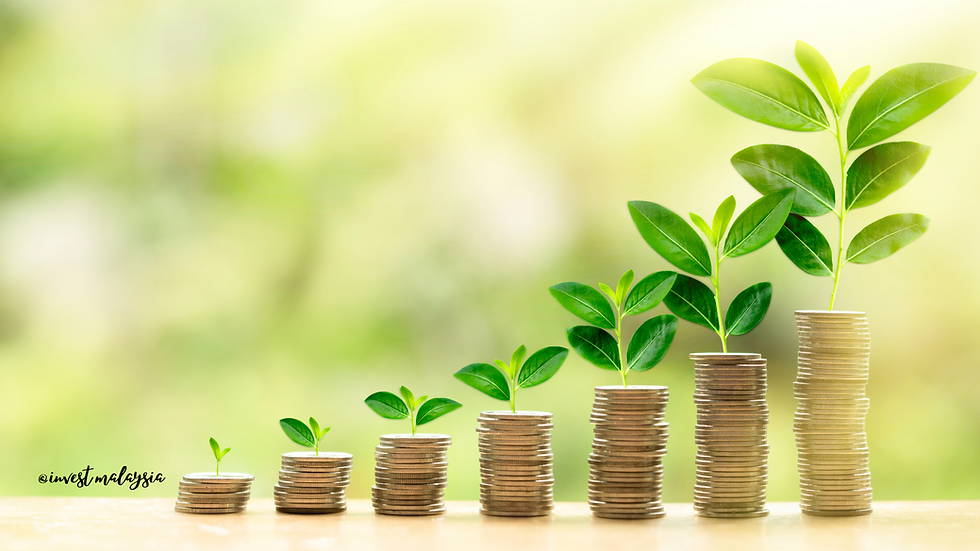plant, money, grow
