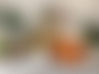 Copia cómo crear espacios con estilo y personalidad en 2026