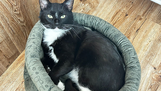 Tux
