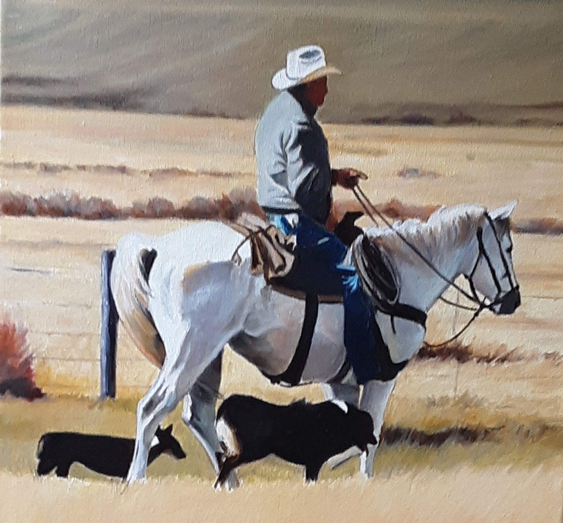 Fence Rider