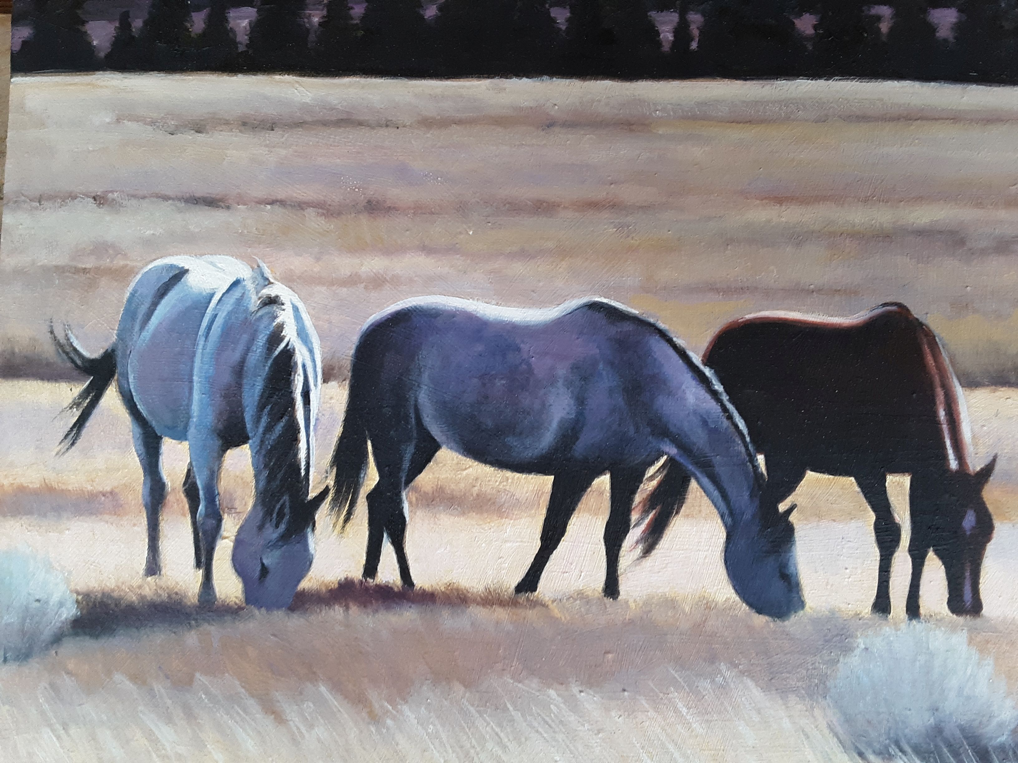 Prairie Sisters