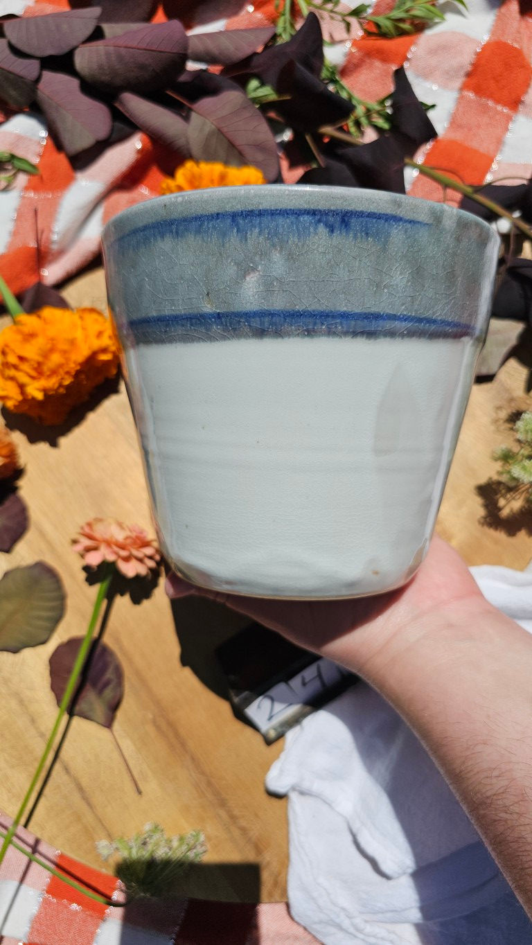 Thumbnail: Blue and White Planter #2495