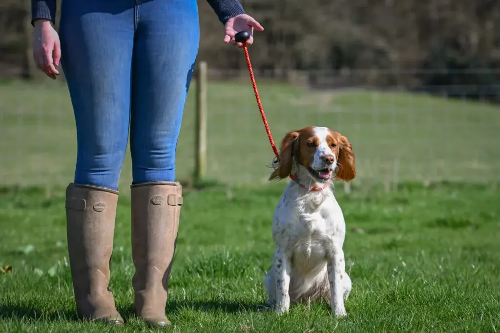 Heeling Lead
