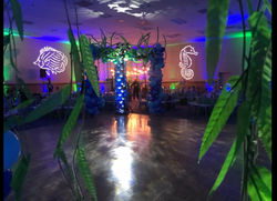 IMG_9596.jpg.opt898x651o0,0s898x651