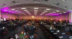 IMG_0332.JPG.opt898x490o0,0s898x490