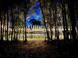 IMG_6644.jpg.opt898x673o0,0s898x673