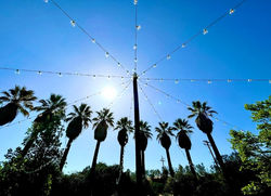 IMG_3684.jpg.opt898x651o0,0s898x651