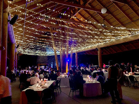 Fresno Chaffee Zoo (Fresno) Lightupthewalls