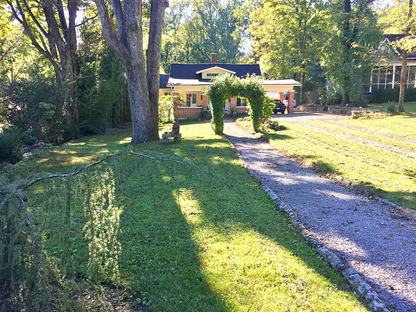 front yard.jpeg