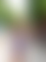 El destino más acogedor del mundo.