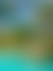 Royal Palm Galápagos Luxury Destino de Bodas