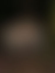 The Ecuadorian Chocó: birdlife and chocolate