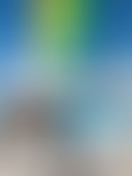 Bodas de lujo de Virgin Limited Edition