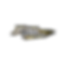 Xtra Speed official.png
