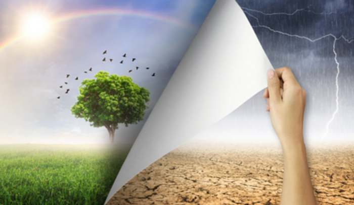 Screenshot 2025-09-02 192331.png