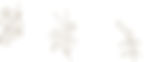 White-Banner-1.jpg