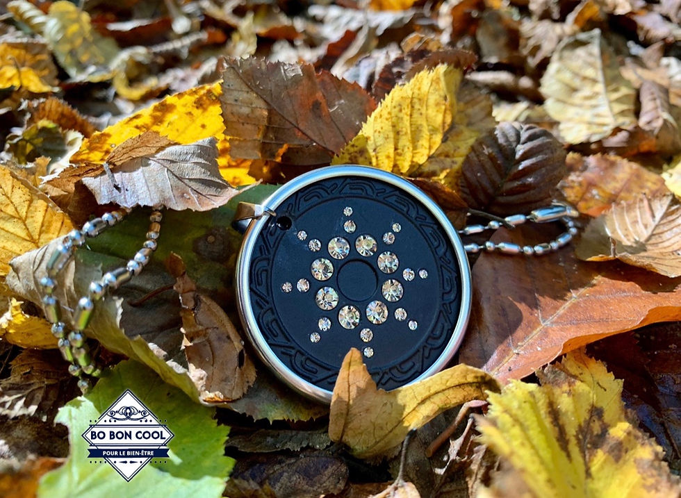 Miniaturbild: Energie Halskette Pendentif Q-001