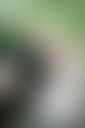 Love and Celebration: Mariana and Roberto's Cozy Wedding