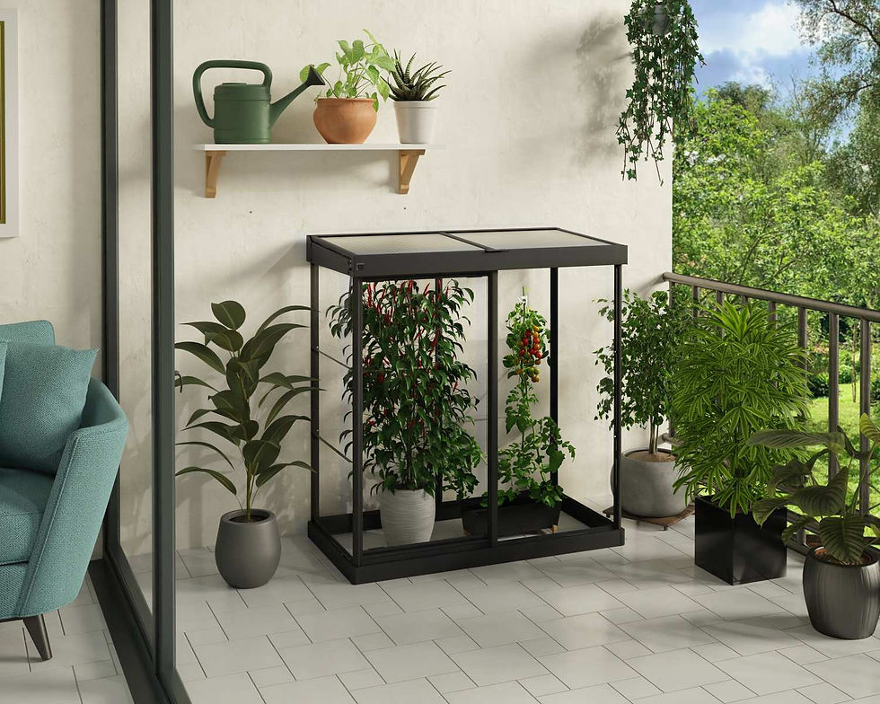 תמונה ממוזערת: חממה ביתית 1.3x0.6 IVY