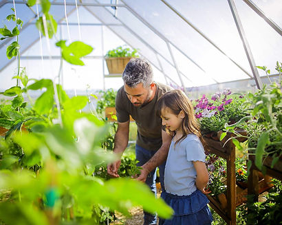 Palram-Canopia_Greenhouses_Balance_10x16_3x5_Silver_Atmosphere-3.jpg