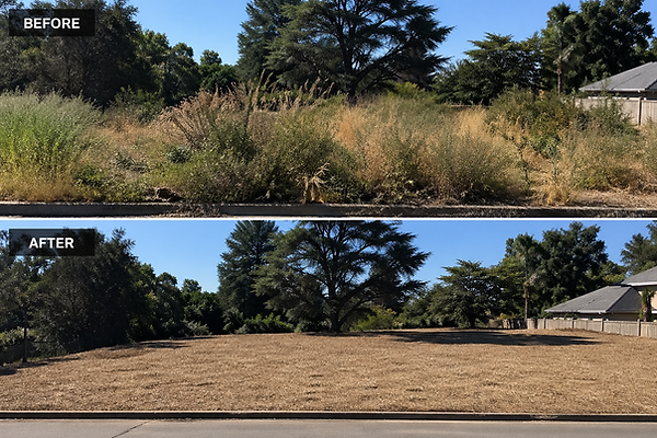 Malibu Weed Abatement Job Firewood Guys