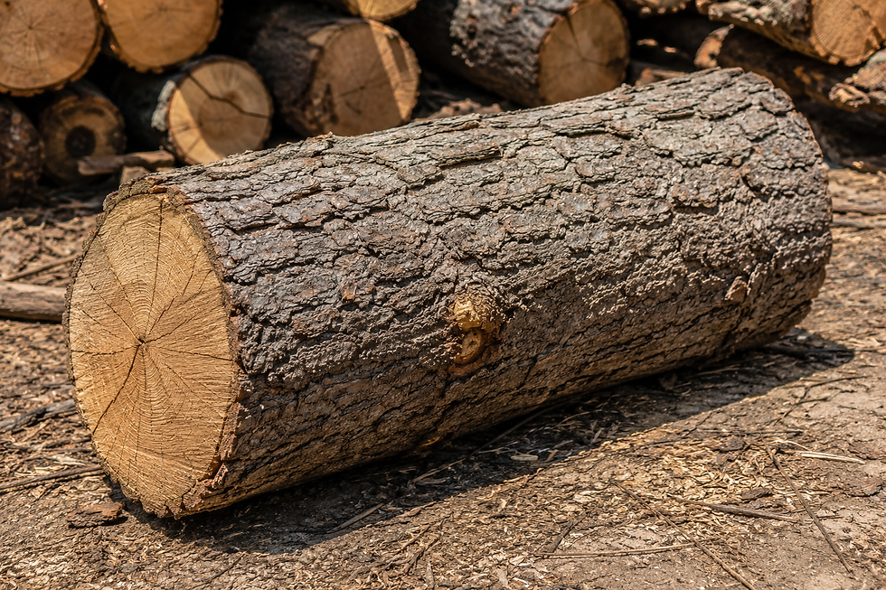 Thumbnail: Unsplit Log
