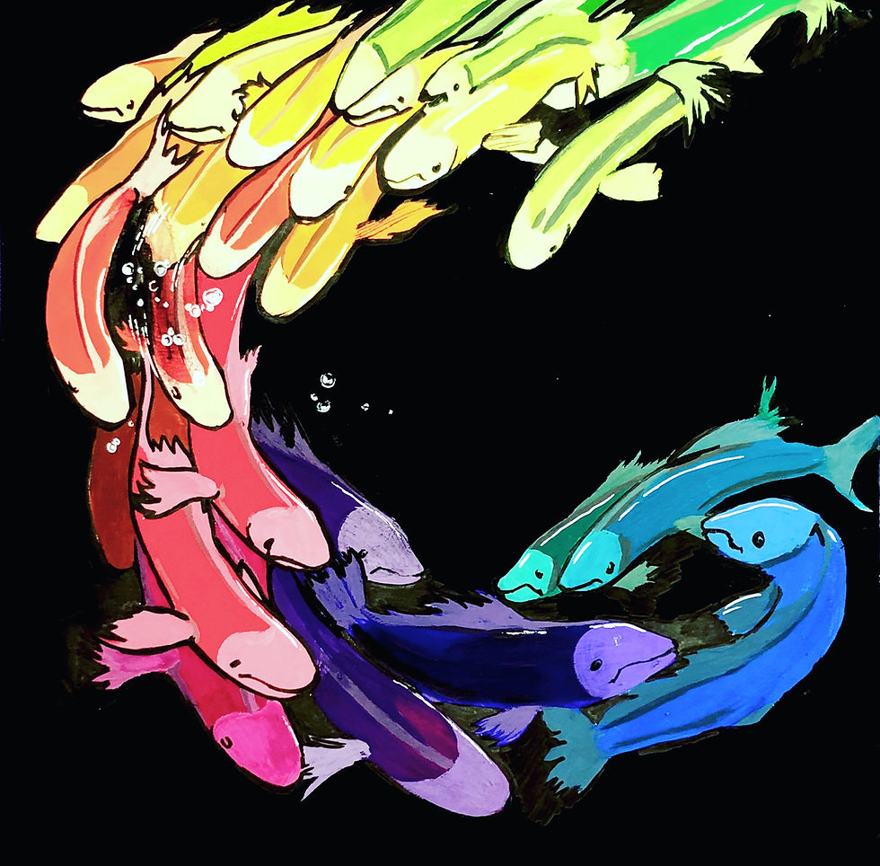 "Koi Fish Color Wheel (Gouache)"