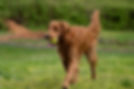 Patience 04-27-22.jpg