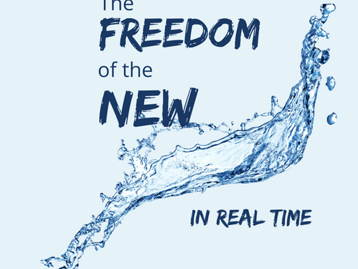 The Freedom of the New