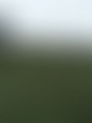 Blarney United Soccer Camp by Path2Pro Cork