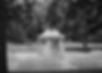 AC196742-907A-4A93-827B-8C05D5591C59_1_201_a.jpeg